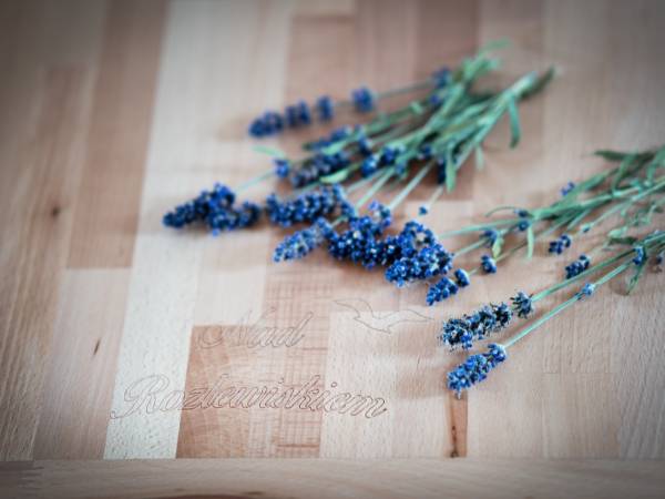 Domki Nad Rozlewiskiem