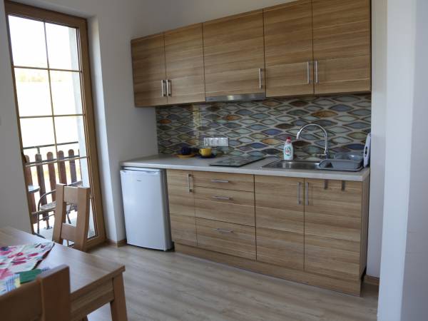 Aneks kuchenny w apartamencie