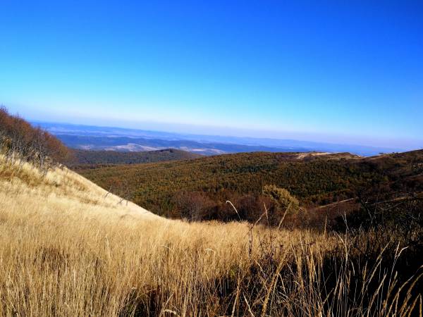 Bieszczady