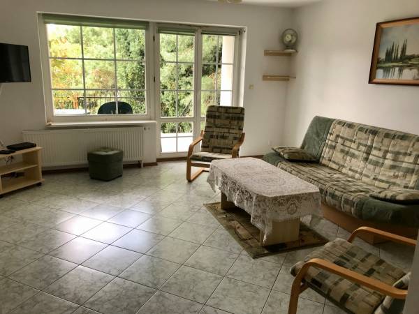 Apartament Leśny- salon