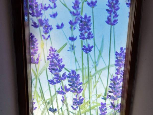 Studio Lawendowa Facjata