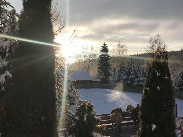 Agroturystyka-Zagroda Studzienno