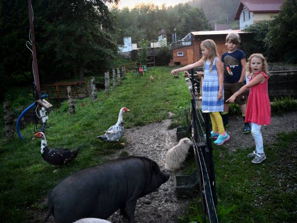 Agroturystyka-Zagroda Studzienno