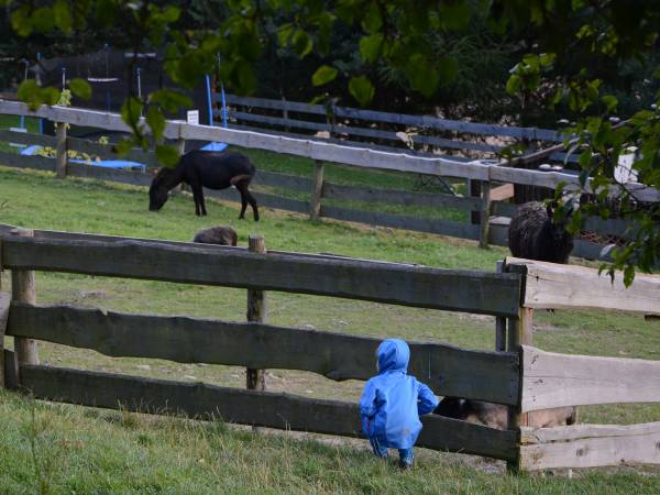 Agroturystyka-Zagroda Studzienno