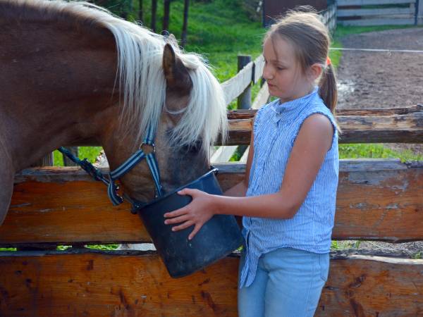Agroturystyka-Zagroda Studzienno
