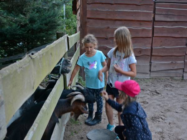 Agroturystyka-Zagroda Studzienno