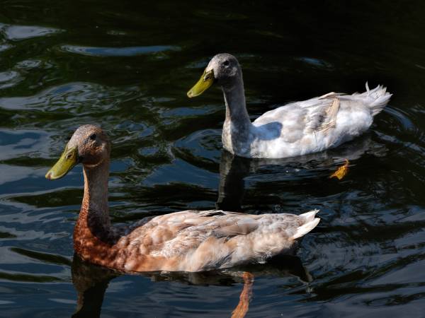 Agroturystyka-Zagroda Studzienno