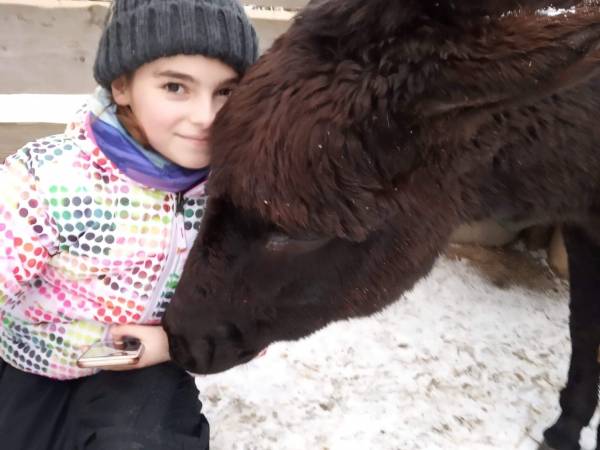 Agroturystyka-Zagroda Studzienno