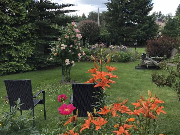 U nas w ogrodzie lato