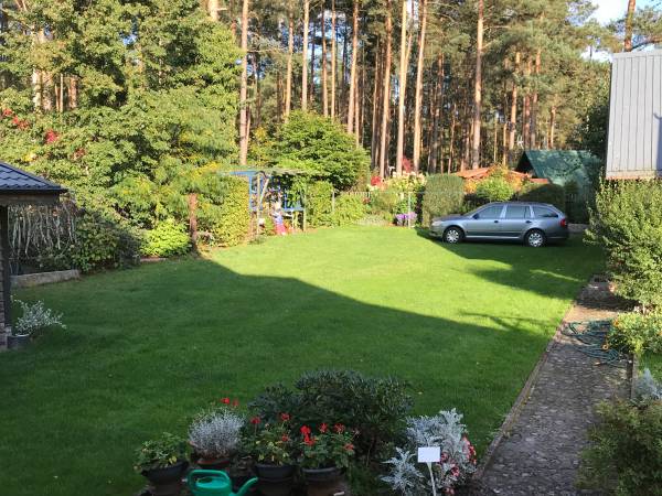 Podwórko Domu pod Kurem