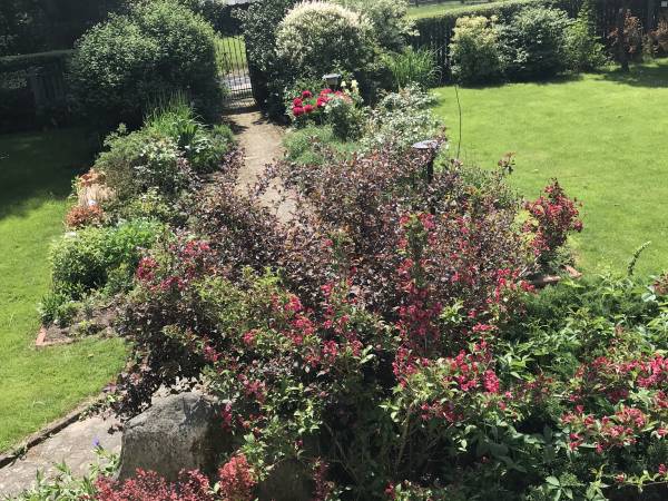 Przepięknie w czerwcu