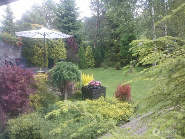 Ogród dom 3