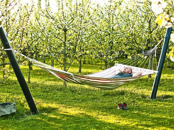 Czereśniowy Zakątek