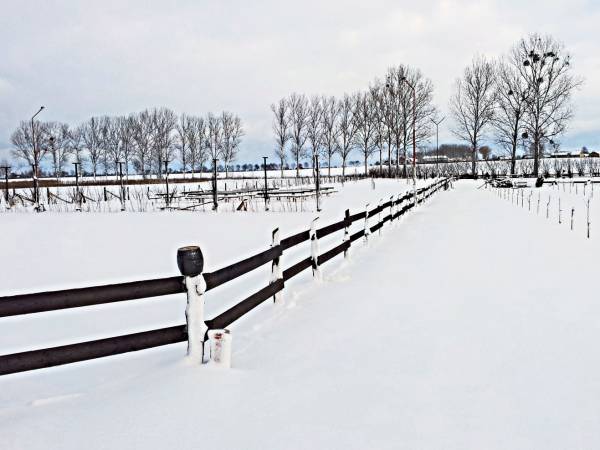 Czereśniowy Zakątek