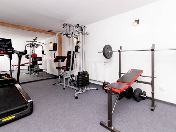 Dom z jacuzzi, sauną i siłownią 