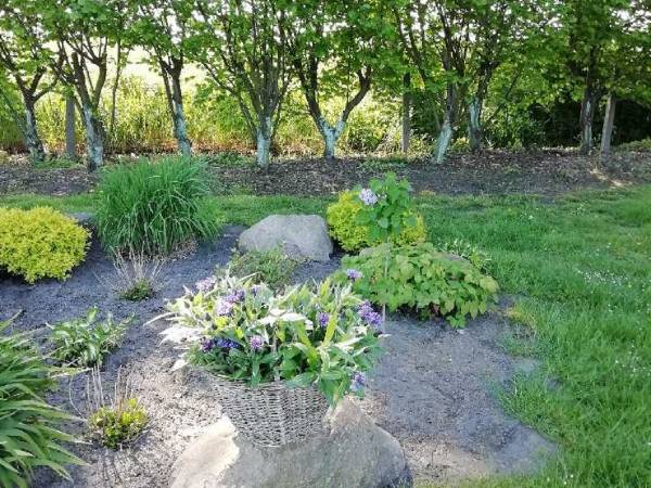 Czereśniowy Zakątek