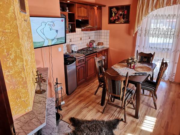 Pokój dzienny z kominkiem i aneksem kuchennym - Dworek (9) 