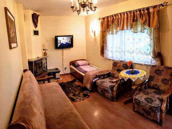 Pokój Dzienny - Domek Zielony (6) 