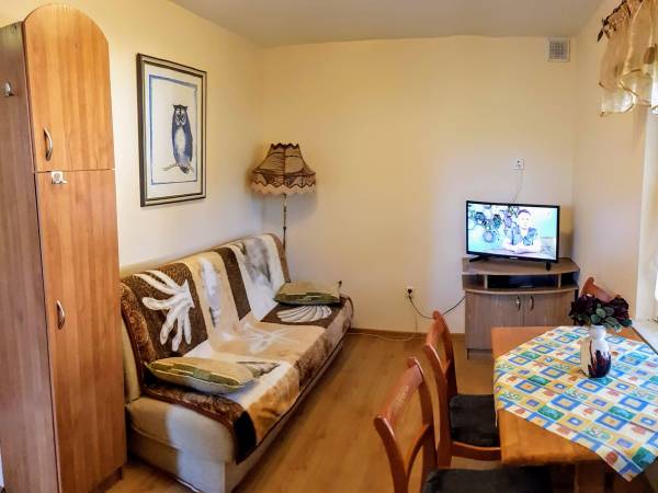 Pokój Dzienny z aneksem kuchennym i kominkiem - Domek Niebieski (4)