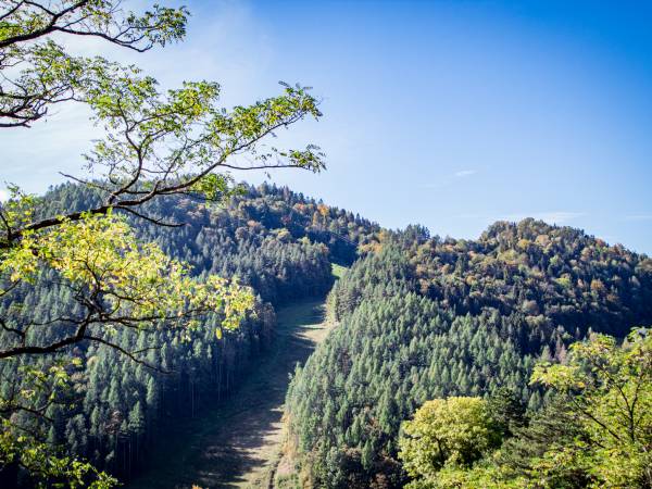 Apartamenty Połoniny