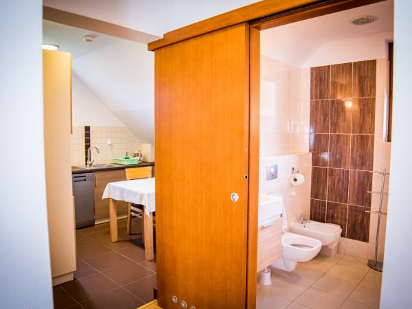 Apartamenty Połoniny