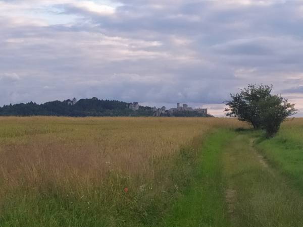 Na szlaku do Zamku Ogrodzieniec