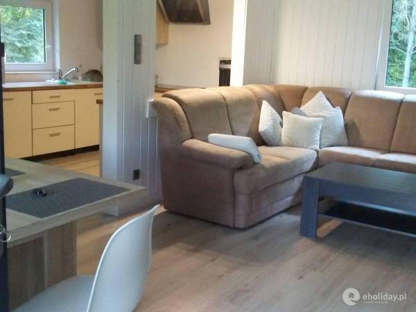 Pokój dzienny, salon i kuchnia