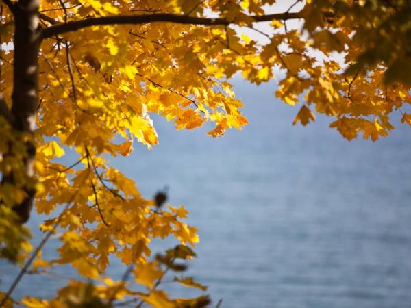 Apartament typu Suite i Pokoje Sandra 