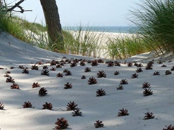 Apartament typu Suite i Pokoje Sandra 