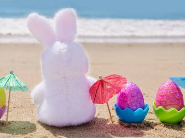 Apartament typu Suite i Pokoje Sandra 