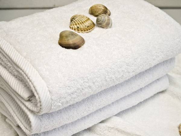 Apartament typu Suite i Pokoje Sandra 