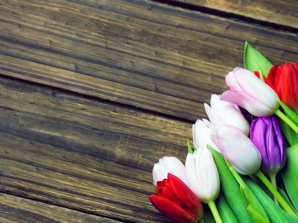 Apartament typu Suite i Pokoje Sandra 