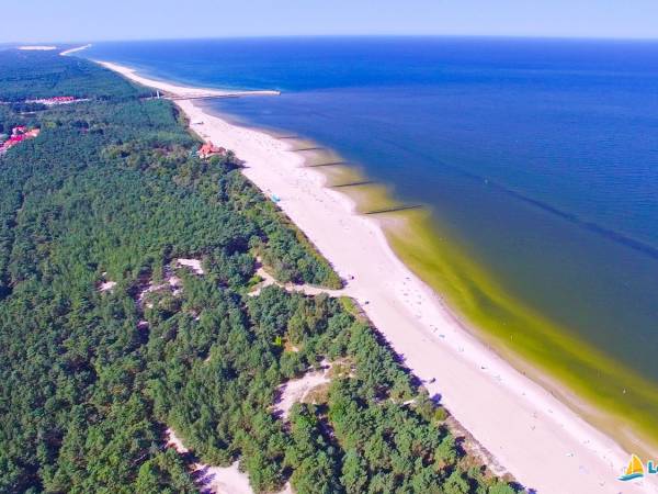 Apartament typu Suite i Pokoje Sandra 