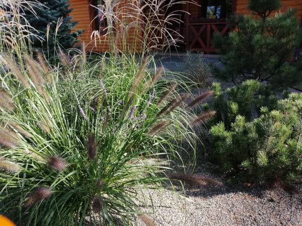 Ośrodek Wypoczynkowy Natalia