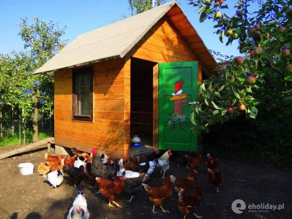 Pokoje i Apartamenty Aneta