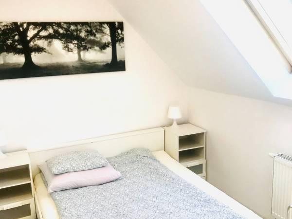 Domki i Apartamenty Całoroczne Koliber