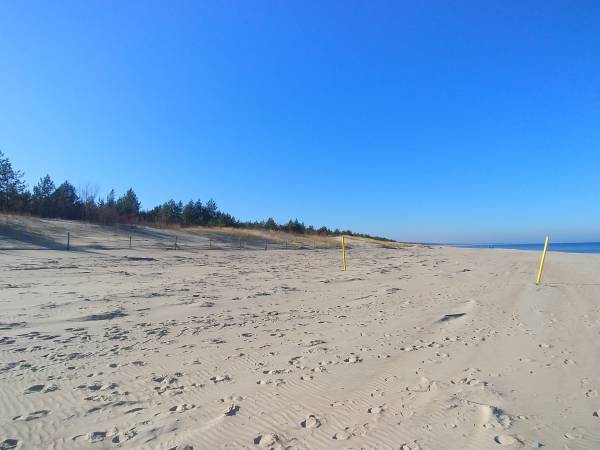  PaPaJa Całoroczny Domek