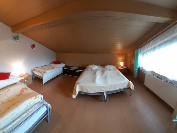 Domek na Modrzewiowej