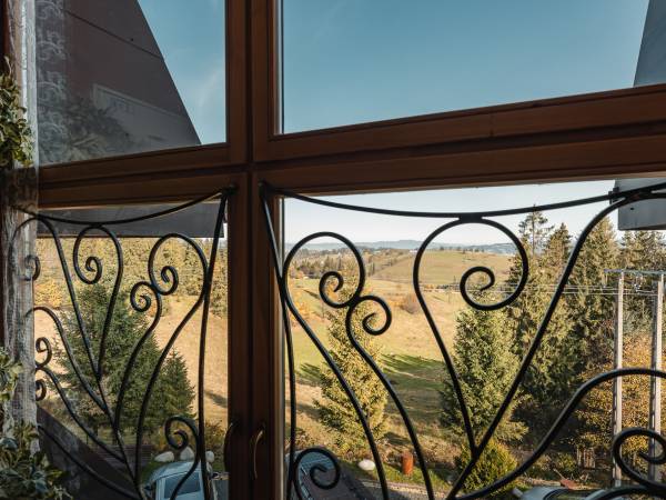 WIDOK Z KLATKI SCHODOWEJ