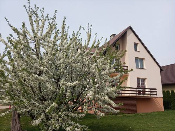 dom ul Kochanowskiego 2