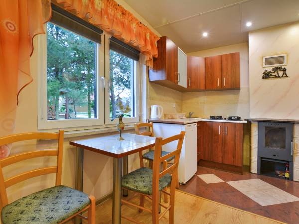 Pokój dzienny z aneksem i kominkiem - Domek Czerwony (1) - 