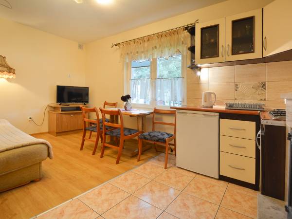 Pokój dzienny z aneksem kuchennym i kominkiem - Domek Niebieski (4) -