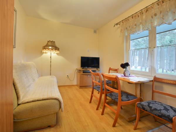 Pokój dzienny z aneksem kuchennym i kominkiem - Domek Niebieski (4) -