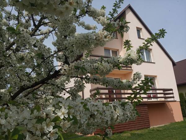 zadbany, duży ogrod