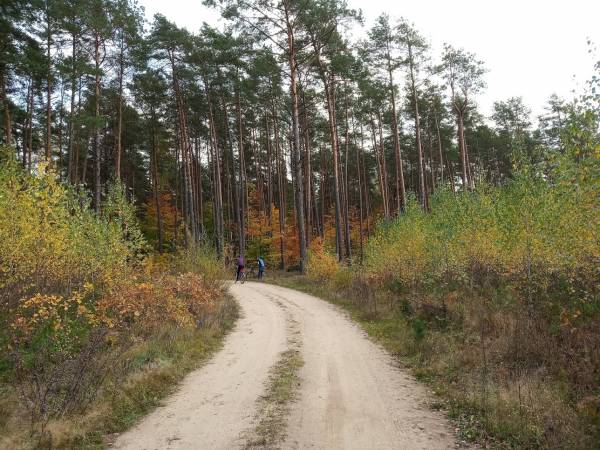 wspaniałe ścieżki rowerowe