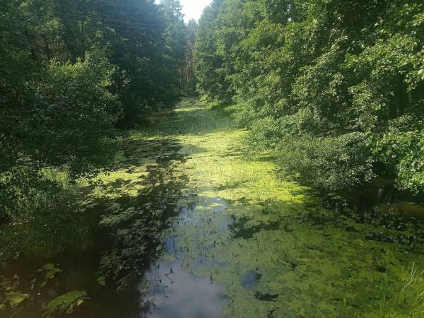 Ostoja Wypoczynku Dom, Pokoje Do Wynajęcia