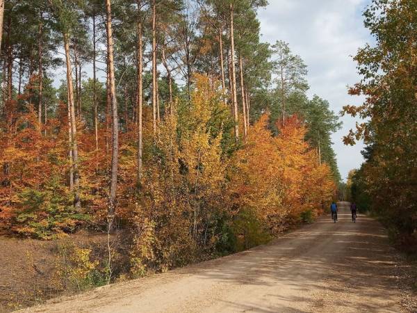super ścieżki rowerowe