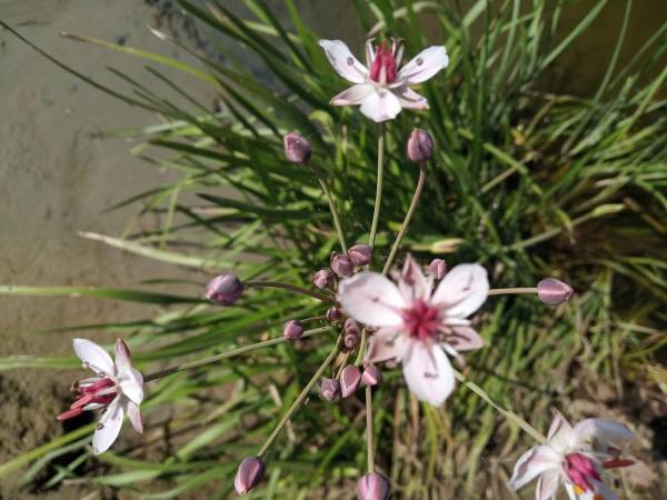 Ostoja Wypoczynku Dom, Pokoje Do Wynajęcia