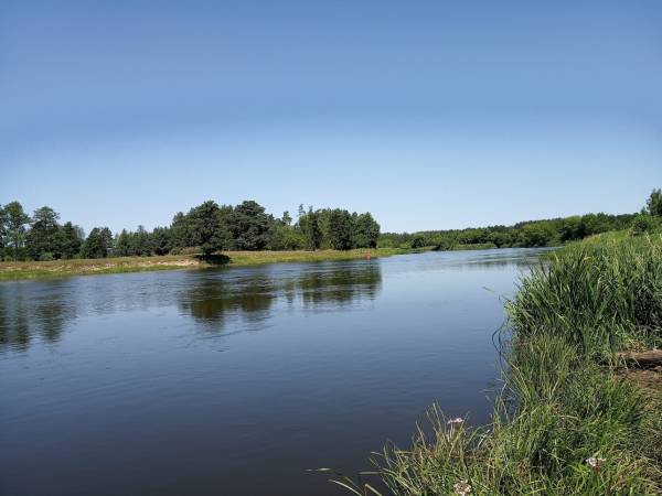 rzeka Narew