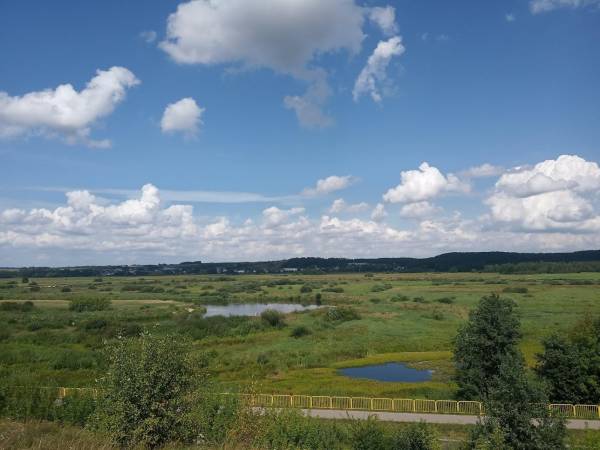 Narwiański park krajobrazowy